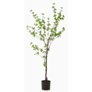 Artificial tree Tropaeolum speciosum TUFFY, artificial stem, green, 5ft/150cm