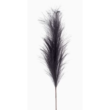 Decorative branch Pampas grass panicle NYX, dark blue, 3ft/100cm