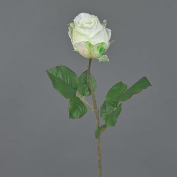 Artificial rose POPI, white-green, 22"/55cm