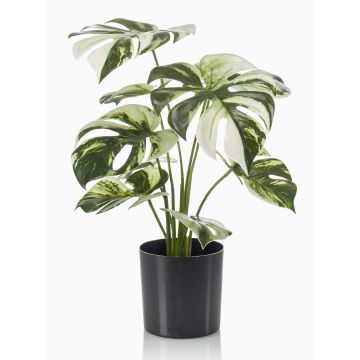 Artificial philodendron Monstera Deliciosa ZAINE, green-white, 16"/40cm