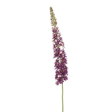 Artificial flower Eremurus NITTI, violet, 4ft/130cm Artificial flower Eremurus NITTI, violet, 4ft/130cm