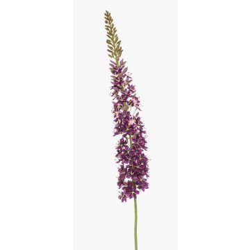 Artificial flower Eremurus NITTI, violet, 4ft/130cm