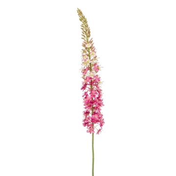 Artificial flower Eremurus NITTI, fuchsia, 4ft/130cm Artificial flower Eremurus NITTI, fuchsia, 4ft/130cm