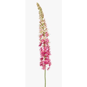 Artificial flower Eremurus NITTI, fuchsia, 4ft/130cm