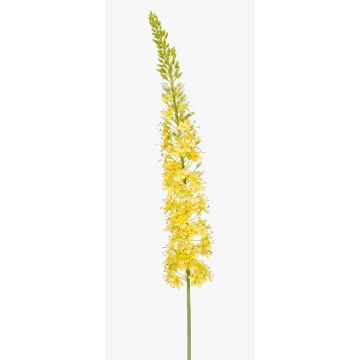 Artificial flower Eremurus NITTI, yellow, 4ft/130cm