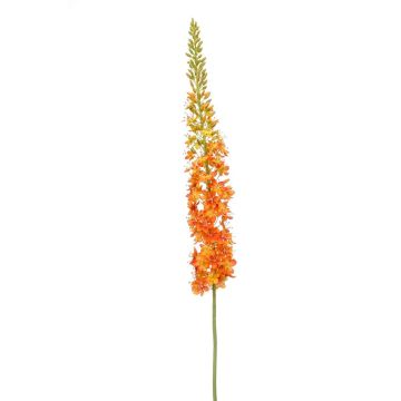 Artificial flower Eremurus NITTI, orange, 4ft/130cm Artificial flower Eremurus NITTI, orange, 4ft/130cm