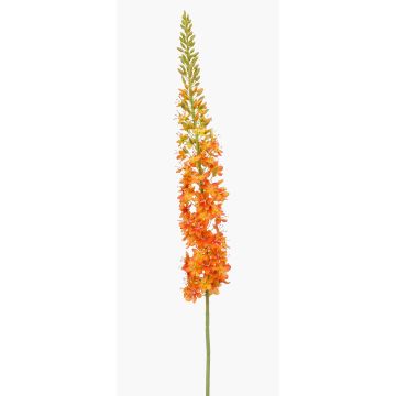 Artificial flower Eremurus NITTI, orange, 4ft/130cm
