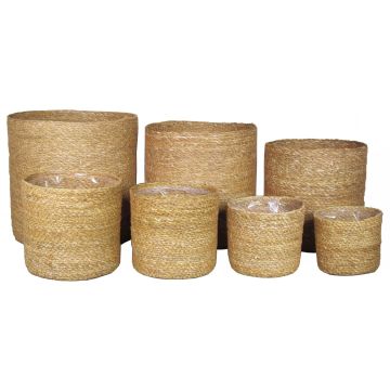 Flower basket AMPARO, seagrass, 7 pieces, beige, 4.7"-12"/12-30cm, Ø5.1"-13"/13-32cm
