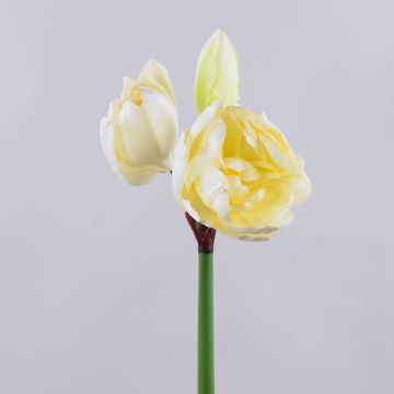 Artificial amaryllis GRELTA, cream-yellow, 31"/80cm Artificial amaryllis GRELTA, cream-yellow, 31"/80cm