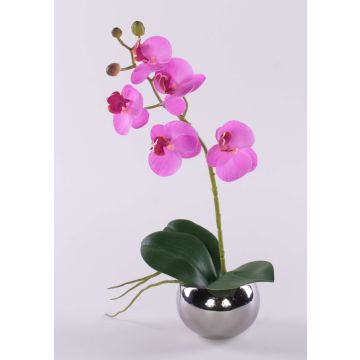 Decorative Phalaenopsis orchid 'ZARMINAH' in a ceramic pot, roots, cerise, 12"/30cm Decorative Phalaenopsis orchid 'ZARMINAH' in a ceramic pot, roots, cerise, 12"/30cm