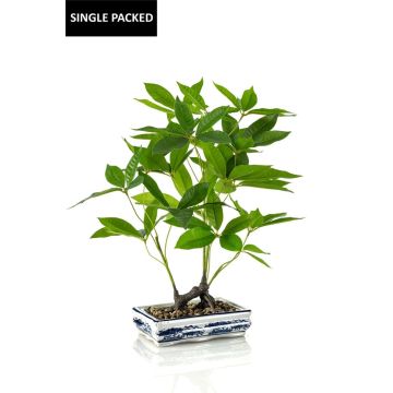 Bonsai Artificial Money tree IVANO in ceramic bowl ge patternt, green, 24"/60cm Bonsai Artificial Money tree IVANO in ceramic bowl ge patternt, green, 24"/60cm