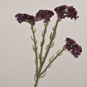 AYISHA artificial beach lavender, dried look, dark purple, 65cm, 3.5x6cm
