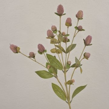 Artificial globe amaranth TUSIUNE, dry look, dusky pink, 28"/70cm