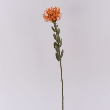 Artificial flower Pincushion protea URMINE, dry look, orange, 24"/60cm