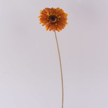 Plastic flower Gerbera TUNGUSKA, dry look, orange, 20"/50cm