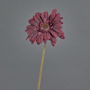 Plastic flower Gerbera TUNGUSKA, dry look, burgundy red, 20"/50cm Plastic flower Gerbera TUNGUSKA, dry look, burgundy red, 20"/50cm