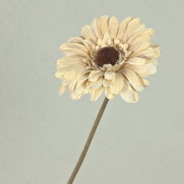 Plastic flower Gerbera TUNGUSKA, dry look, cream-beige, 20"/50cm Plastic flower Gerbera TUNGUSKA, dry look, cream-beige, 20"/50cm