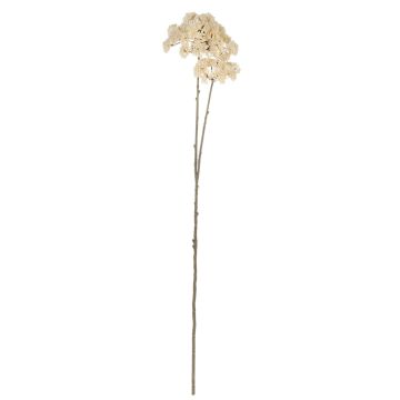 Artificial flower branch Sedum telephium VALBONA, dry look, cream-white, 28"/70cm Artificial flower branch Sedum telephium VALBONA, dry look, cream-white, 28"/70cm