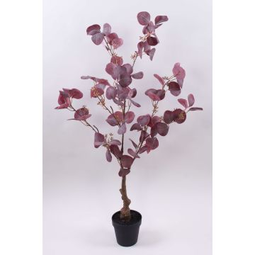 Decorative tree Eucalyptus WISCHERA, fruits, artificial trunk, decorative pot, burgundy-grey, 35"/90cm Decorative tree Eucalyptus WISCHERA, fruits, artificial trunk, decorative pot, burgundy-grey, 35"/90cm