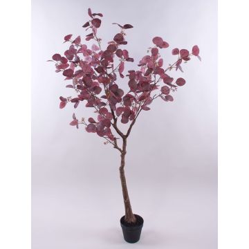 Decorative tree Eucalyptus WISCHERA, fruits, artificial trunk, decorative pot, burgundy-grey, 5ft/150cm Decorative tree Eucalyptus WISCHERA, fruits, artificial trunk, decorative pot, burgundy-grey, 5ft/150cm