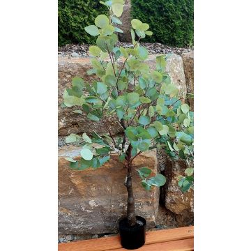 Plastic eucalyptus tree WISGARD, artificial trunk, green-grey, 6ft/180cm Plastic eucalyptus tree WISGARD, artificial trunk, green-grey, 6ft/180cm