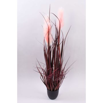 Decorative pampas grass WERNHILD with panicles, decorative pot, red-brown, 35"/90cm Decorative pampas grass WERNHILD with panicles, decorative pot, red-brown, 35"/90cm