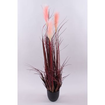 Decorative pampas grass WERNHILD with panicles, decorative pot, red-brown, 4ft/120cm Decorative pampas grass WERNHILD with panicles, decorative pot, red-brown, 4ft/120cm