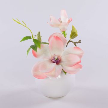 FEMI artificial magnolia in a white ceramic pot, cream-apricot, 20 cm, Ø17 cm