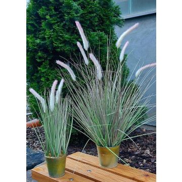 Artificial fountain grass SVERRE with panicles, zinc pot, pink-green, 20"/50cm