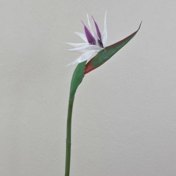 Artificial bird-of-paradise flower CHAYA, white-purple, 80cm, 13x21cm