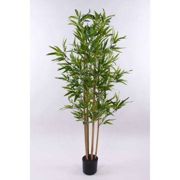 Artificial bamboo SEUMAS, real bamboo canes, 5ft/150cm Artificial bamboo SEUMAS, real bamboo canes, 5ft/150cm