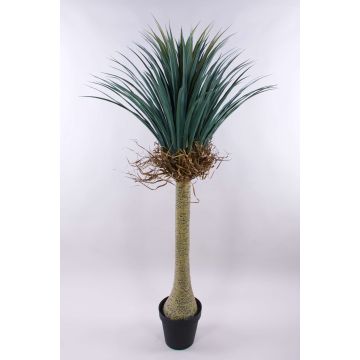 Artificial yucca rostrata HARDIN, decorative pot, 5ft/160cm Artificial yucca rostrata HARDIN, decorative pot, 5ft/160cm