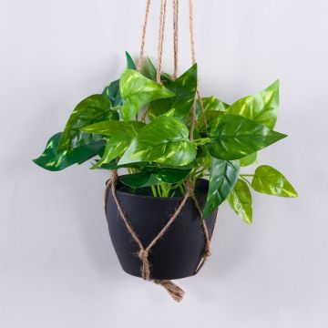 Decorative pothos hanging basket CASON in decorative pot, green, 24"/60cm Decorative pothos hanging basket CASON in decorative pot, green, 24"/60cm