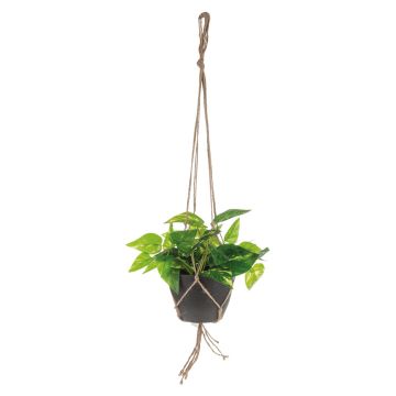 Decorative pothos hanging basket CASON in decorative pot, green, 24"/60cm Decorative pothos hanging basket CASON in decorative pot, green, 24"/60cm