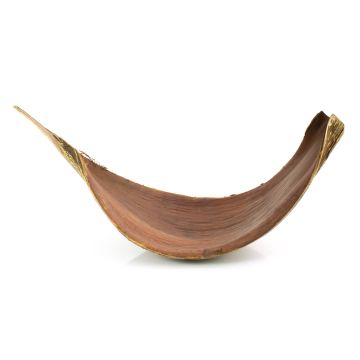 Large dried coconut leaf CHIPUNA, brown, 12"-4ft/30-120cm Large dried coconut leaf CHIPUNA, brown, 12"-4ft/30-120cm