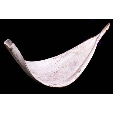 Large dried coconut leaf CHIPUNA, whitewashed, 30–80 cm