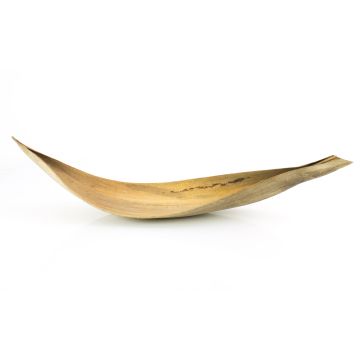 Large dried coconut leaf CHIPUNA, beige-brown, 60–80 cm
