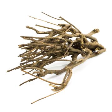 MANDY decorative twigs, bundle, beige-brown, 40 cm