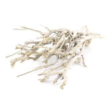MANDY decorative twigs, bundle, white-limed, 30 cm