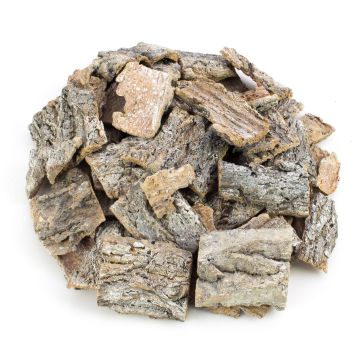 RANDY birch bark scatter decoration, whitewashed, 6x7cm