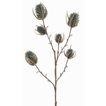 Artificial wild teasel branch LORISU, petrol green, 26"/65cm, Ø1.2"-1.6"/3-4cm Artificial wild teasel branch LORISU, petrol green, 26"/65cm, Ø1.2"-1.6"/3-4cm