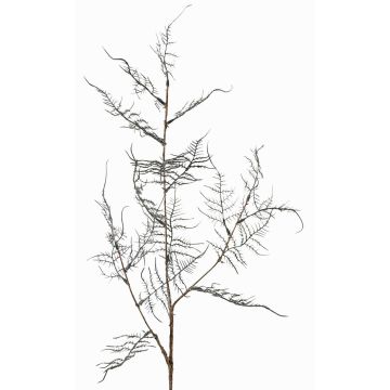 Artificial Asparagus acutifolius branch NYALA, dark green, 33"/85cm Artificial Asparagus acutifolius branch NYALA, dark green, 33"/85cm
