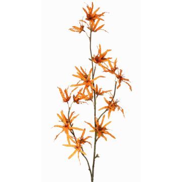 Artificial witch hazel branch ORAFA with flowers, orange, 31"/80cm, Ø1.6"-3.1"/4-8cm Artificial witch hazel branch ORAFA with flowers, orange, 31"/80cm, Ø1.6"-3.1"/4-8cm