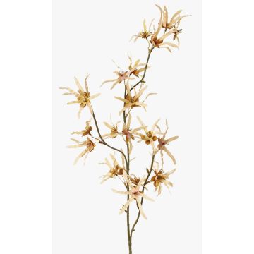 Artificial witch hazel branch ORAFA with flowers, beige, 31"/80cm, Ø1.6"-3.1"/4-8cm Artificial witch hazel branch ORAFA with flowers, beige, 31"/80cm, Ø1.6"-3.1"/4-8cm