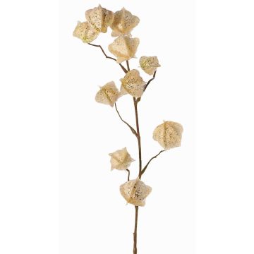 Artificial Physalis branch AINOS, fruits, glitter, cream, 31"/80cm Artificial Physalis branch AINOS, fruits, glitter, cream, 31"/80cm