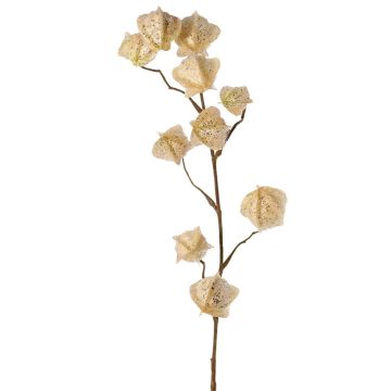 Artificial Physalis branch AINOS, fruits, glitter, cream, 80cm