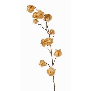 Artificial physalis branch AINOS, fruits, glitter, beige, 31"/80cm Artificial physalis branch AINOS, fruits, glitter, beige, 31"/80cm