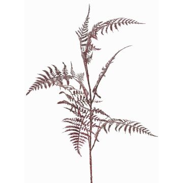 Decorative Asparagus plumosus branch GIONA, dark red, 33"/85cm Decorative Asparagus plumosus branch GIONA, dark red, 33"/85cm
