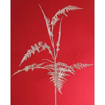 Decorative Asparagus plumosus branch GIONA, silver, 33"/85cm Decorative Asparagus plumosus branch GIONA, silver, 33"/85cm