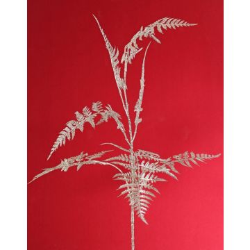 Decorative Asparagus plumosus branch GIONA, silver, 33"/85cm Decorative Asparagus plumosus branch GIONA, silver, 33"/85cm